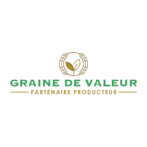 Logo GRAINE DE VALEUR